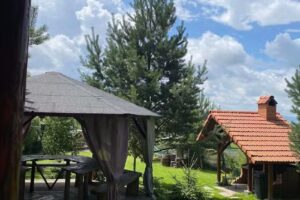 Sebestyen Norbert I.I