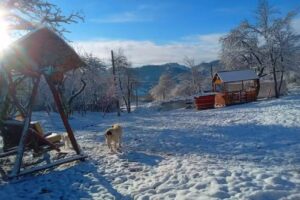 Sejour Retreat For Family In Paradise