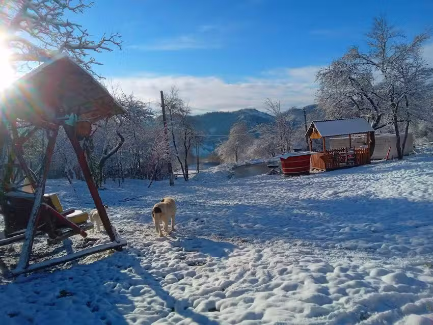 Sejour Retreat For Family In Paradise