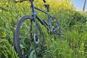 Sergiu Postolache Mr.Perfect