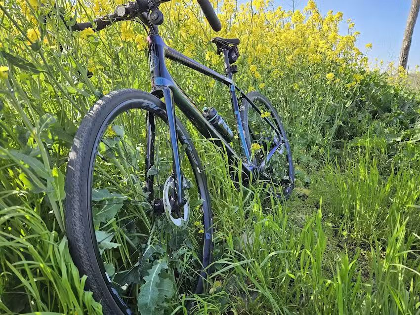 Sergiu Postolache Mr.Perfect