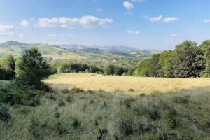 SIMBA – Camping Resort