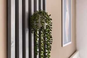 Simplicity Apartments