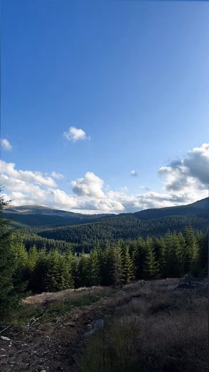 SkyHaus Cabins