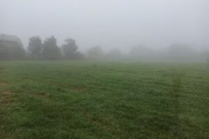 Strada Bisericii 106