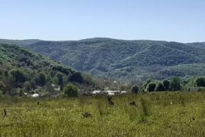 Sur-Ron EcoTours BUZAU