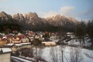 Suru Hotel & Restaurant Bușteni