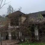 Tabăra de Copii Bogda