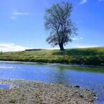 Tabăra de Copii Chevereșu Mare