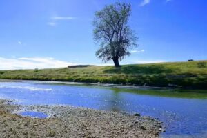 Tabăra de Copii Chevereșu Mare