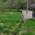 Tabara tineri si copii reformata