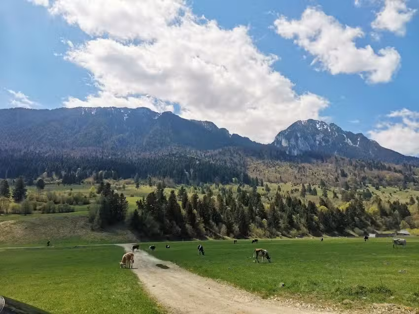 Taverna Pietrei Craiului
