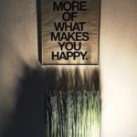 The Aristocrat Apartment