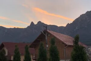 The Bear House Busteni