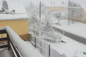 The Buzad Experience