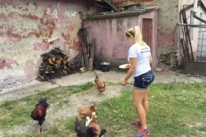 The Country Manor in Transylvania