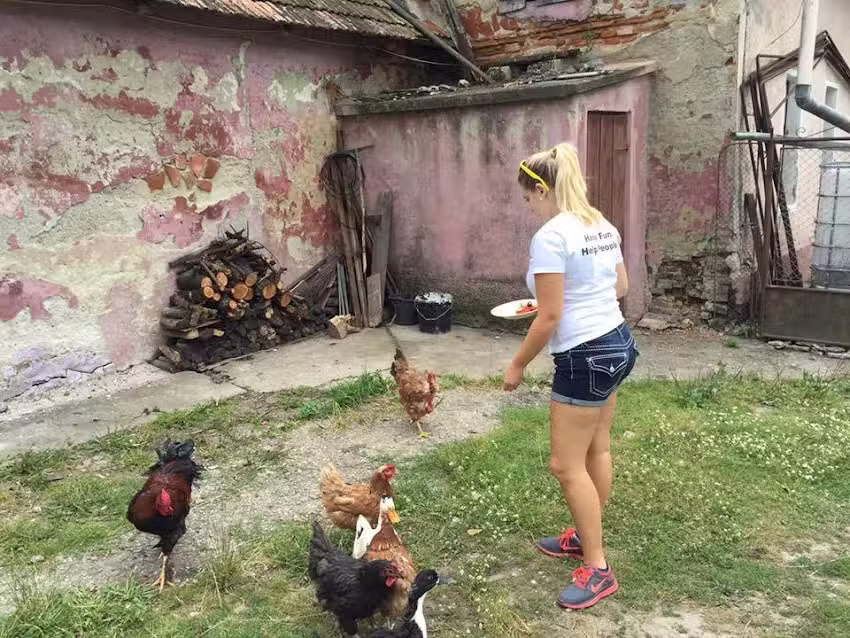 The Country Manor in Transylvania