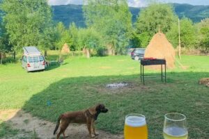 The Story Garden Corbii de Piatră