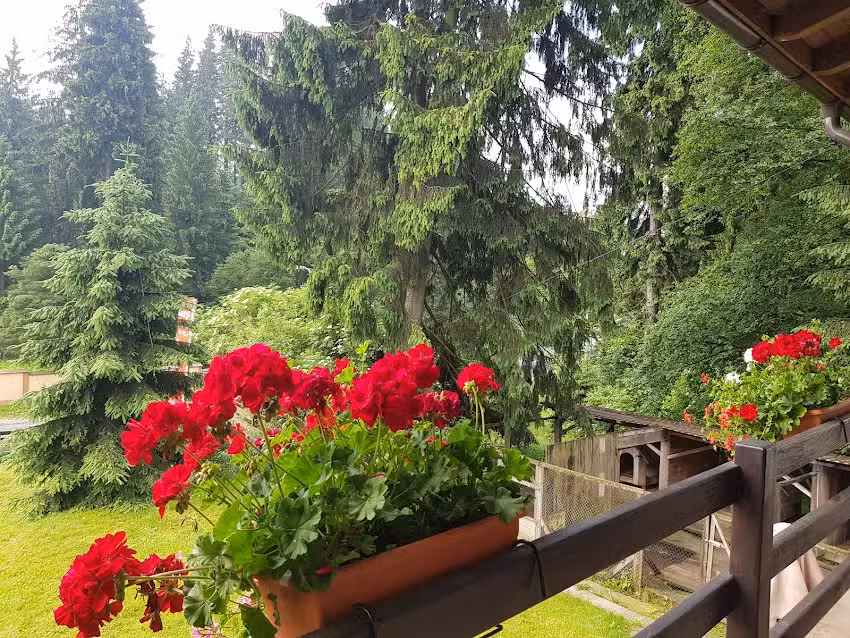 Timis Valley, Casa Eni&Dan