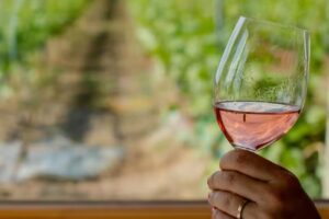 Tiny House in the wineyard by Gramofon