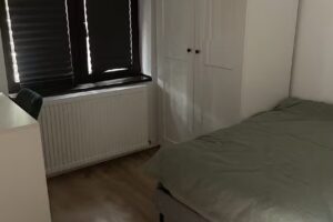 Tiny Traditional House