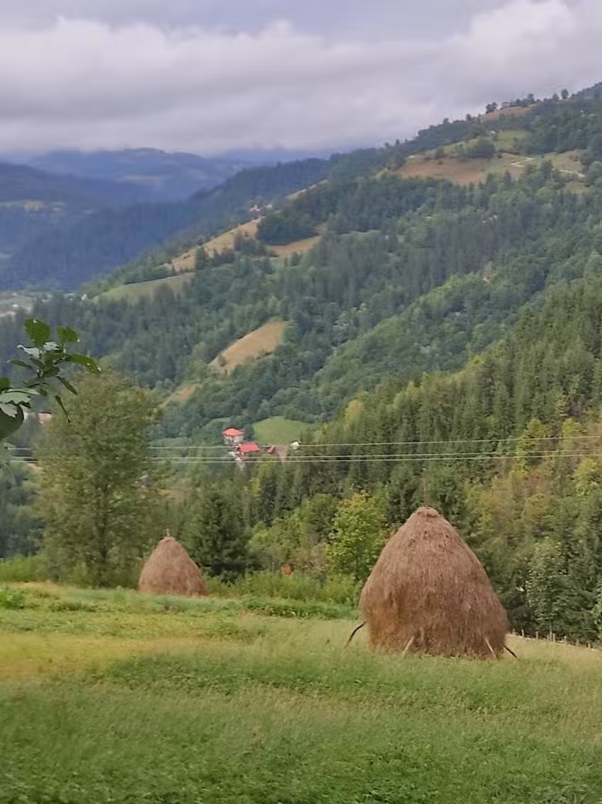 Torogoata lui Toiuț