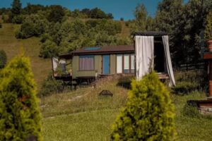 Tripsylvania Tiny House