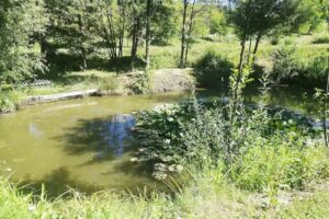 Tündér Ilona Guesthouse