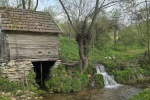 Ubytování Český Banát