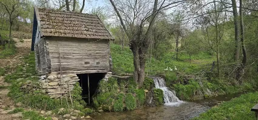 Ubytování Český Banát