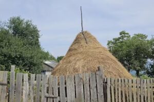 Ubytování u Mojžíšů