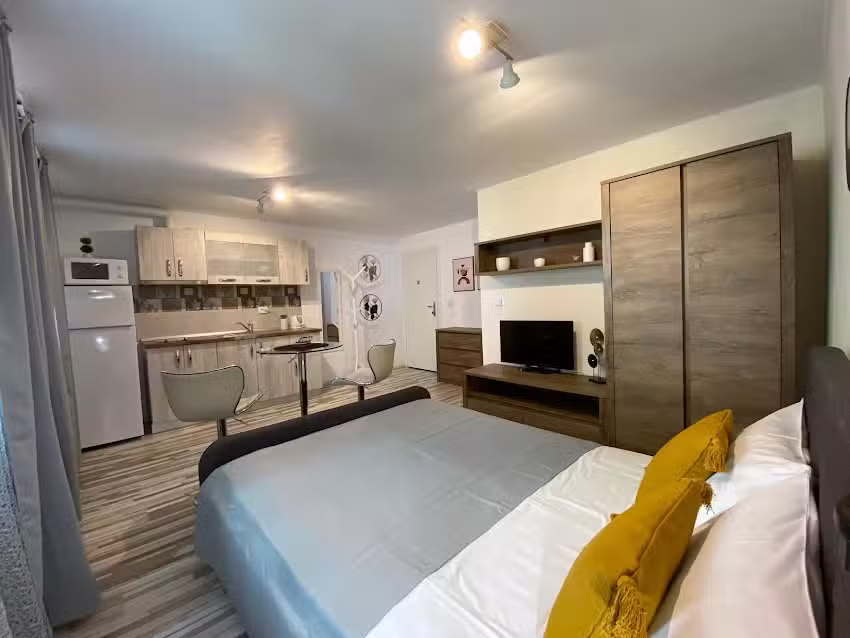 Urseni Studio Apartments