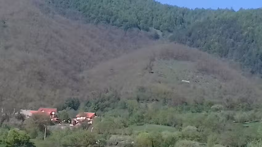 Valea Brânzei