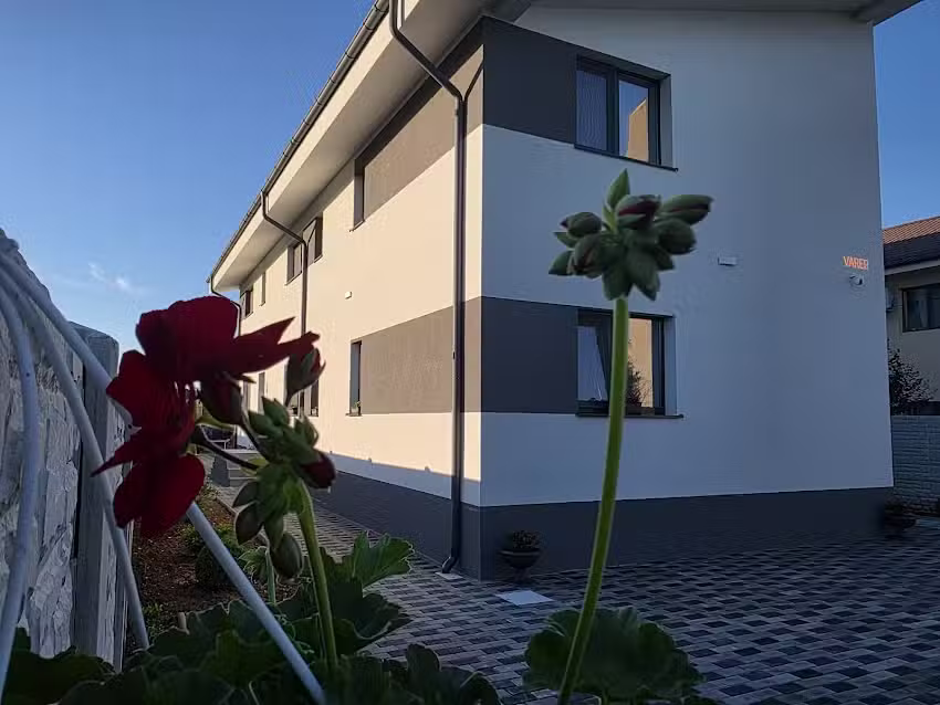 VARER – Club Saftica