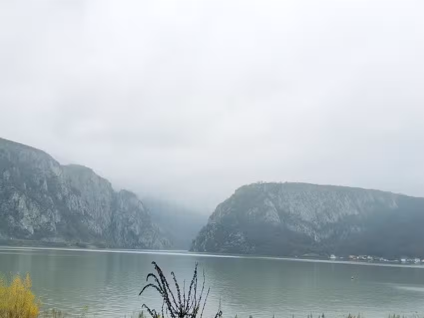 Vella 1