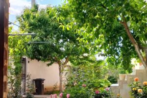 Vila Aurora Selgros Craiova