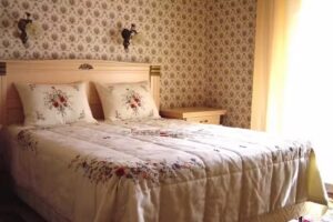 Vila Cerbul Albastru