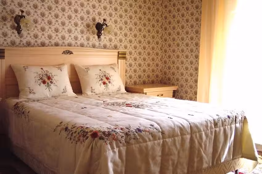 Vila Cerbul Albastru