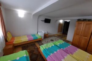 Vila Cibin – Păltiniș