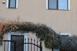 Vila cu trandafiri – Cozy Apartments