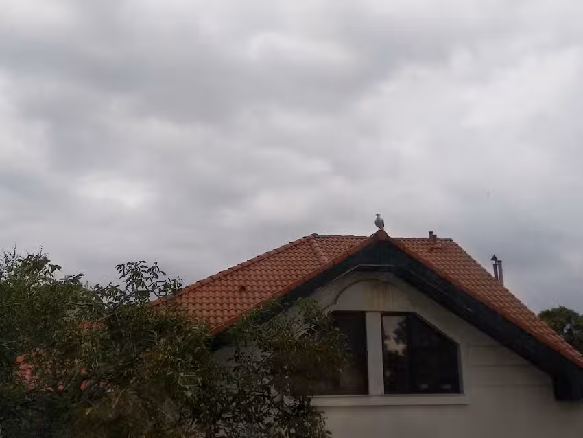 Vila Denisa