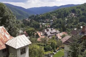 Vila Floare de Colț