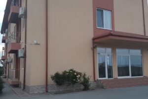 VILA GEDAR COSTINESTI