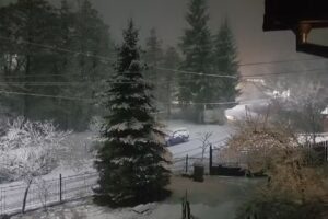 Vila Kaki – Pensiune