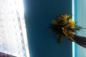 Vila la Izvorul Putinei