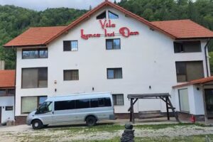 Vila Lunca lui Dan Voineasa