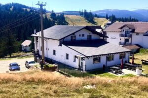 Vila Paltinis, Paltinis