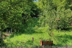 Villa Rustic Transylvania