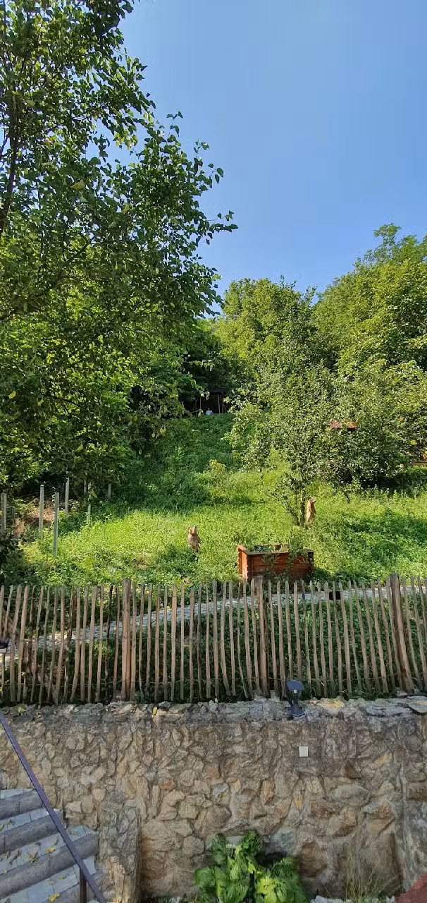 Villa Rustic Transylvania