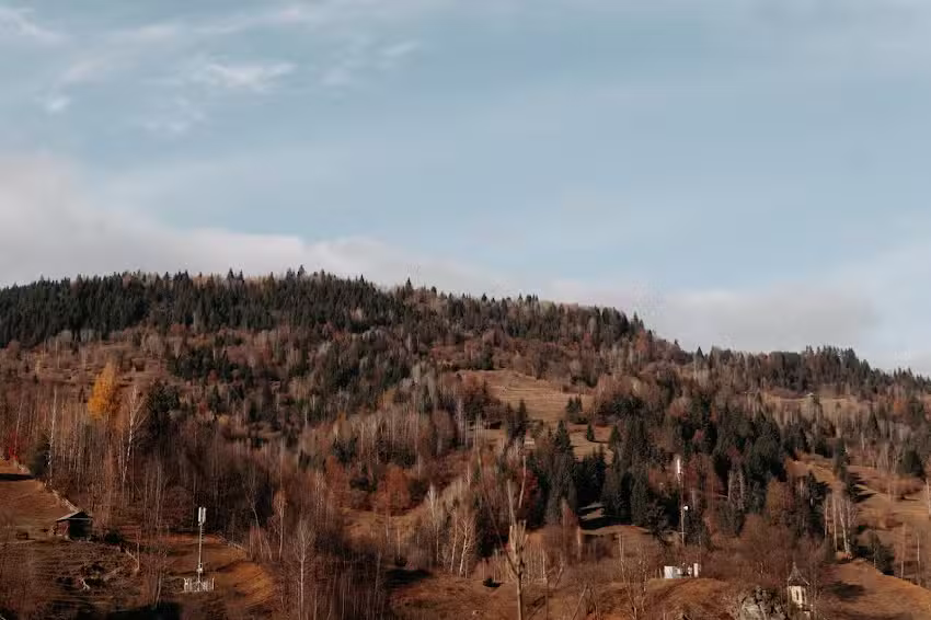 Village Brăduțu